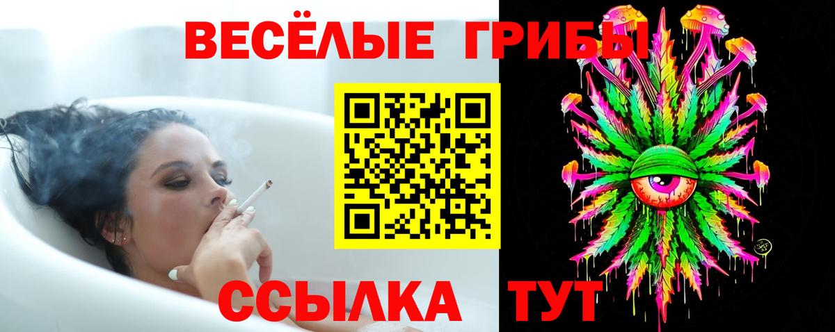 Псилоцибиновые грибы Psilocybe Уссурийск